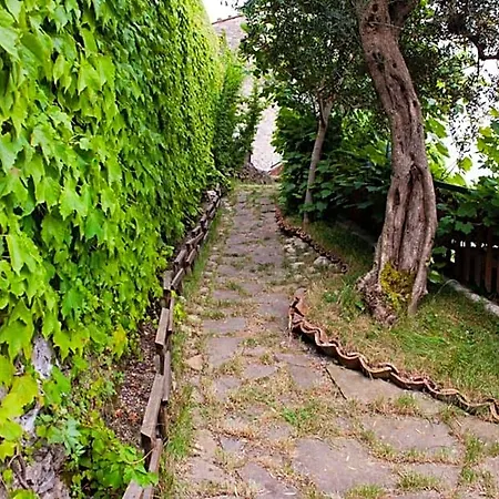 La Dimora Antica Bed & Breakfast Viggianello