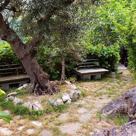 La Dimora Antica * Viggianello